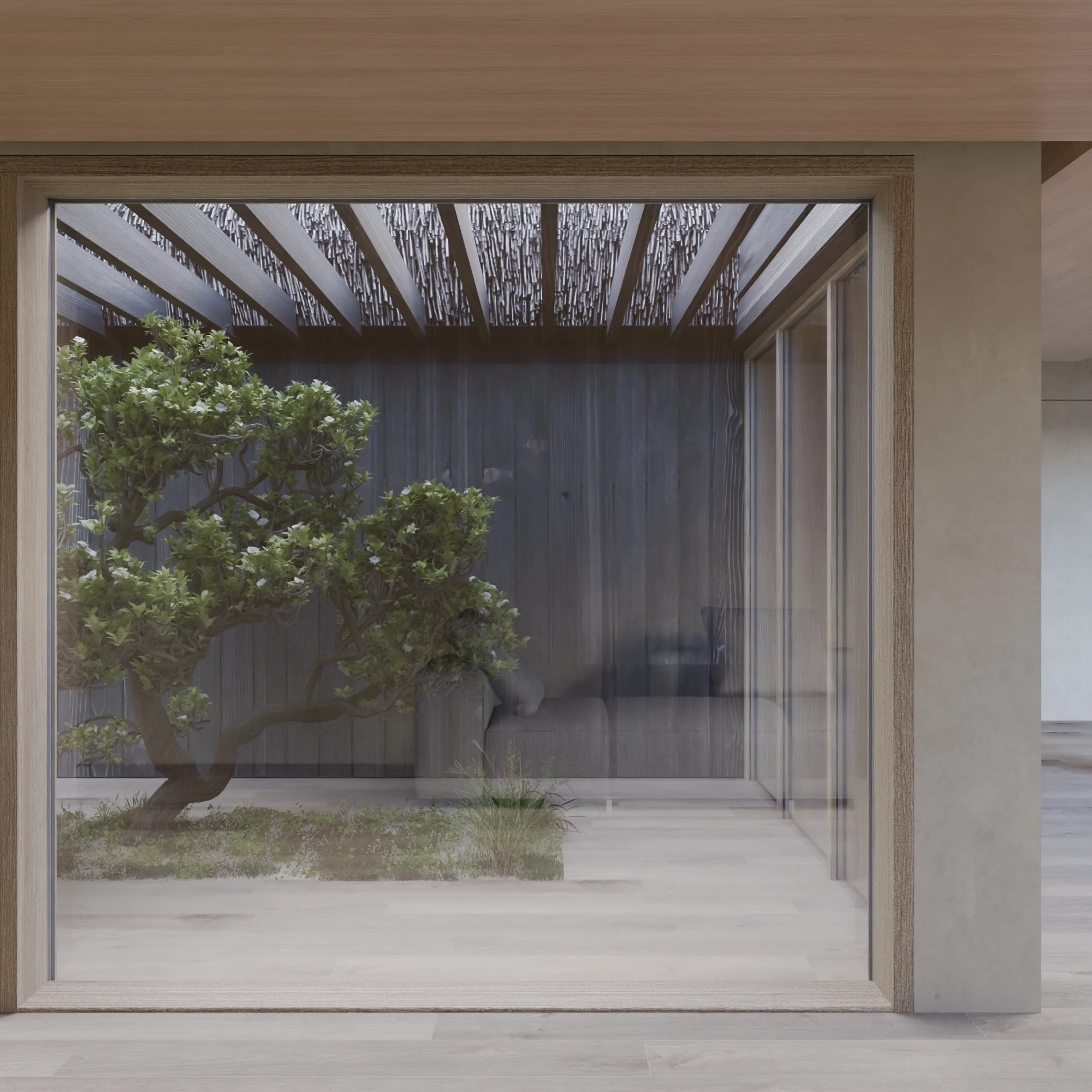 Courtyard tree through glass